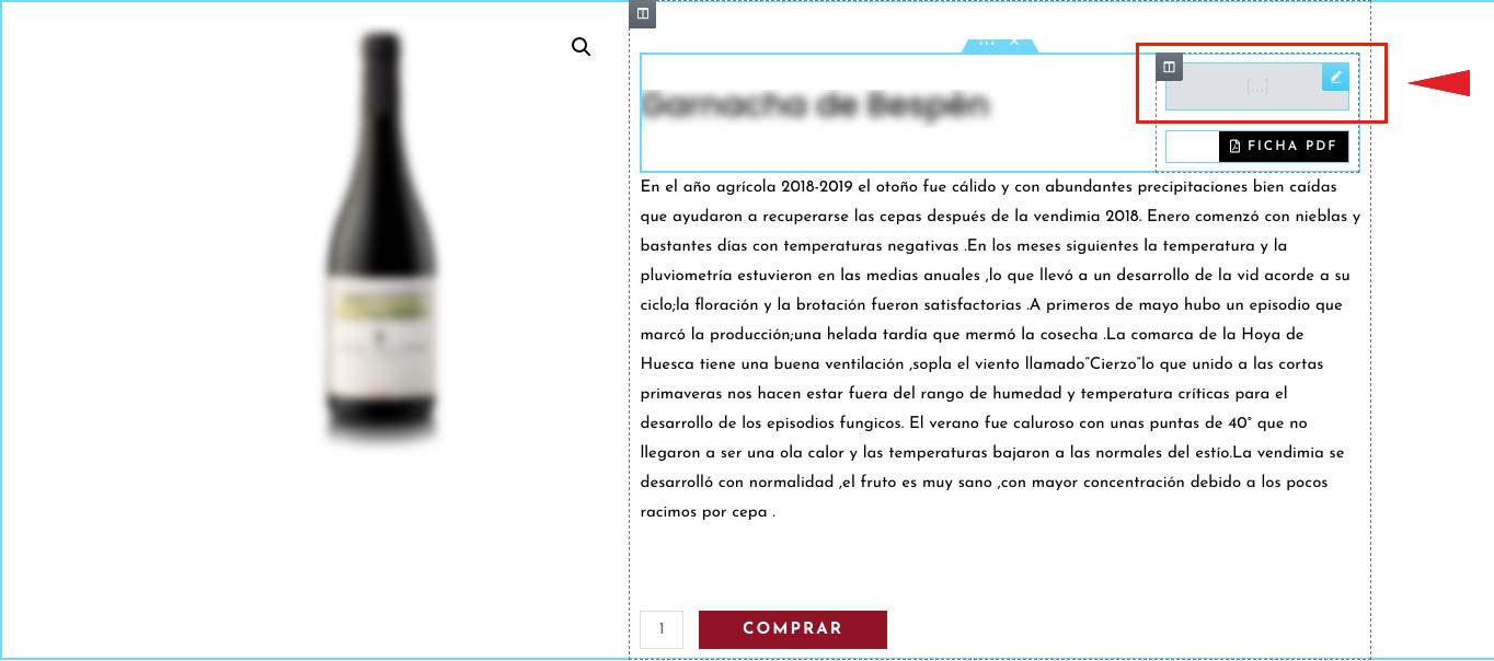 anadir-shortcode-ocultar-campo-acf-elementor